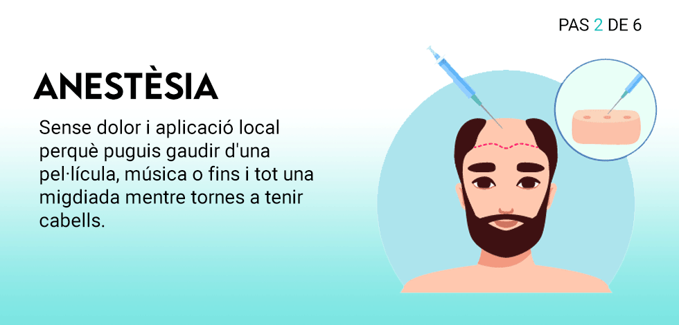tecnica_2_cat
