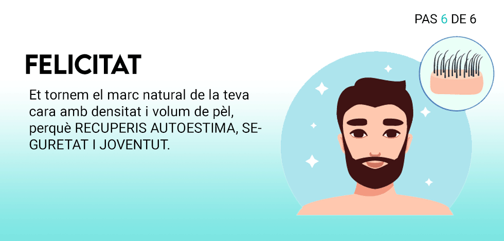 tecnica_6_cat